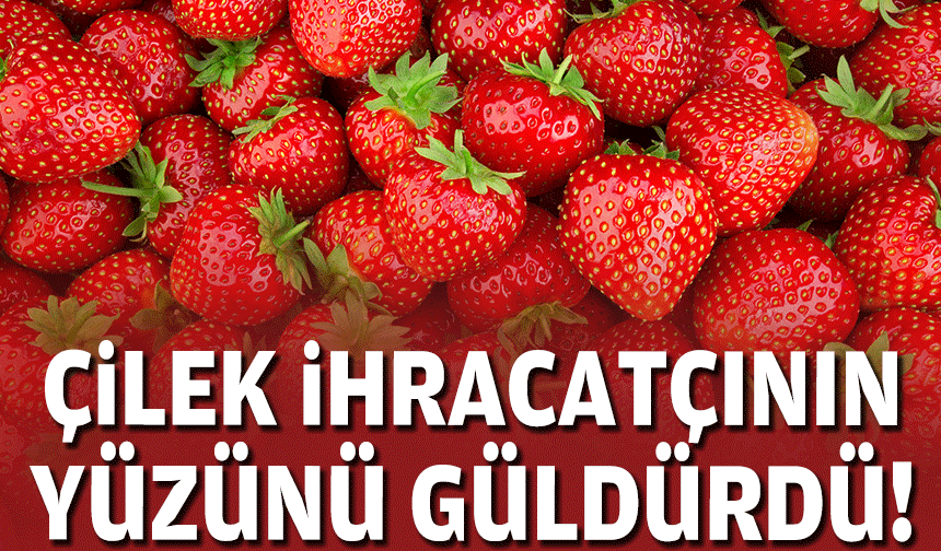 Çilek ihracatçının yüzünü güldürdü!