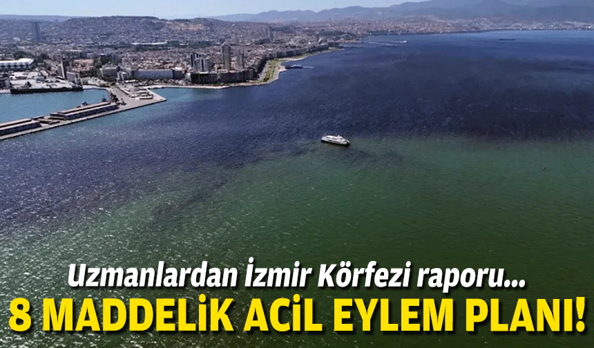 Uzmanlardan İzmir Körfezi raporu... 8 maddelik acil eylem planı!
