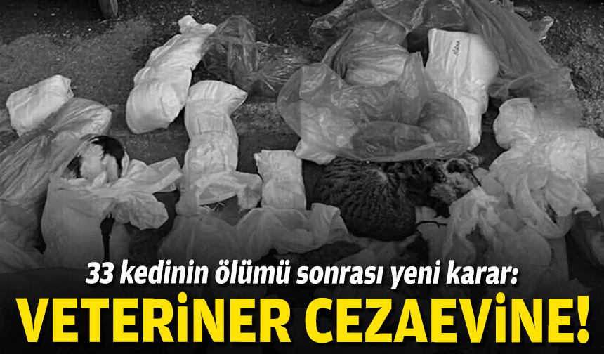 33 kedinin ölümü sonrası yeni karar: Veteriner cezaevine!