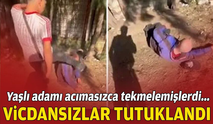 Yaşlı adamı acımasızca tekmelemişlerdi... Vicdansızlar tutuklandı