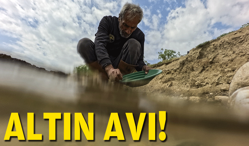 Ege'de altın avı!