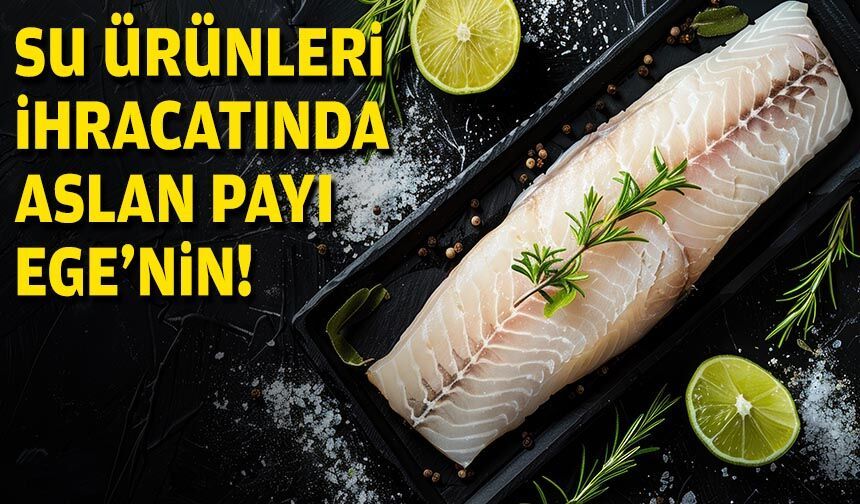 Su ürünleri ihracatında aslan payı Egeli balıkçıların!
