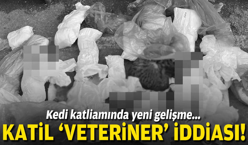 İzmir'de kedi katliamı: 33 can kaybı!
