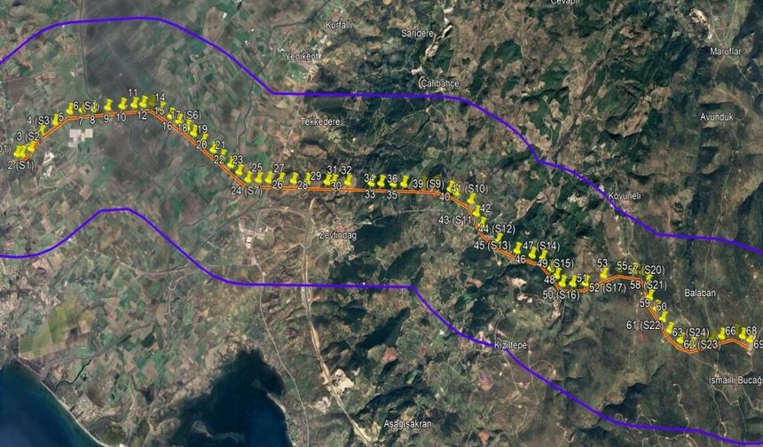 Enerji hattı için orman kıyımı: 27 bin ağaç kesilecek!