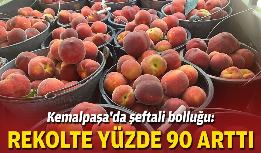 Kemalpaşa'da şeftali bolluğu: Rekolte yüzde 90 arttı