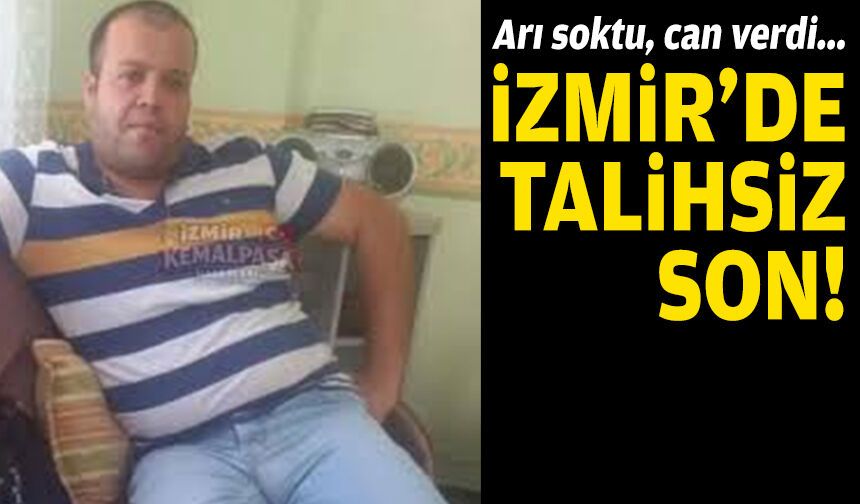 İzmir'de talihsiz son: Arı soktu, can verdi!