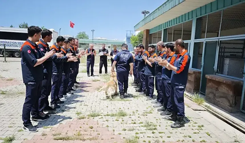 Emekliliği beklenen köpek 'Köpük' grup ikincisi oldu