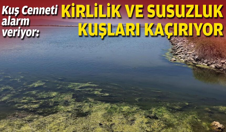 Kuş Cenneti alarm veriyor: Kirlilik ve susuzluk kuşları kaçırıyor