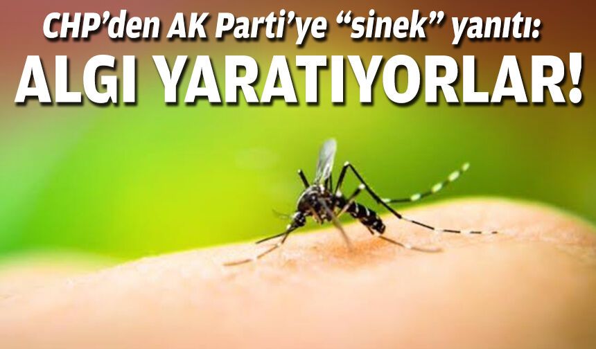 CHP’den AK Parti’ye “sinek” yanıtı: Algı yaratıyorlar!