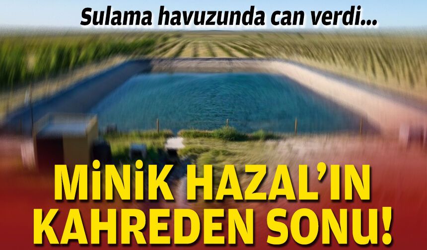Sulama havuzunda can verdi... 2 yaşındaki Hazal'ın kahreden sonu!