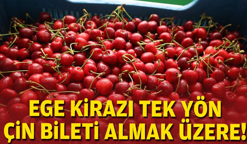 Ege kirazı tek yön Çin bileti almak üzere
