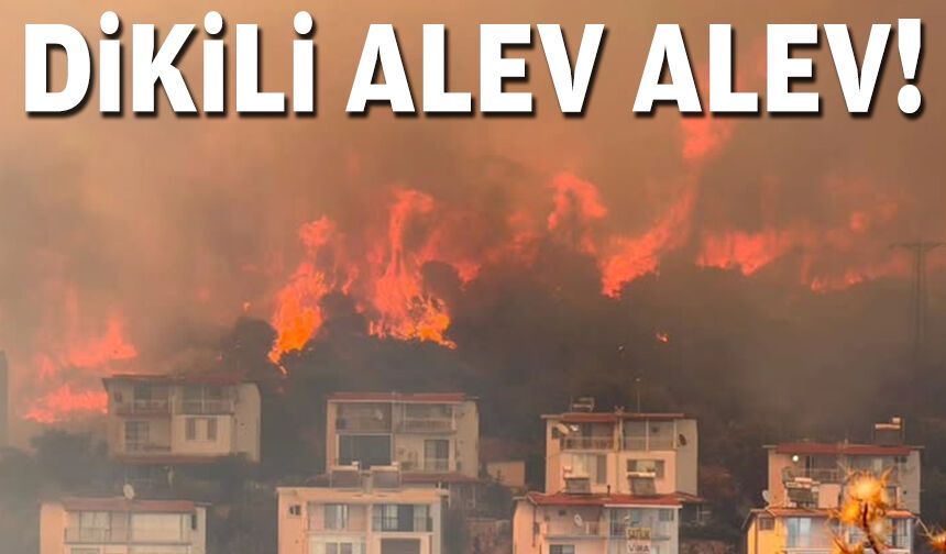Dikili alev alev!