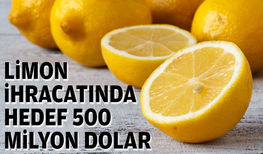 Limon ihracatında hedef 500 milyon dolar