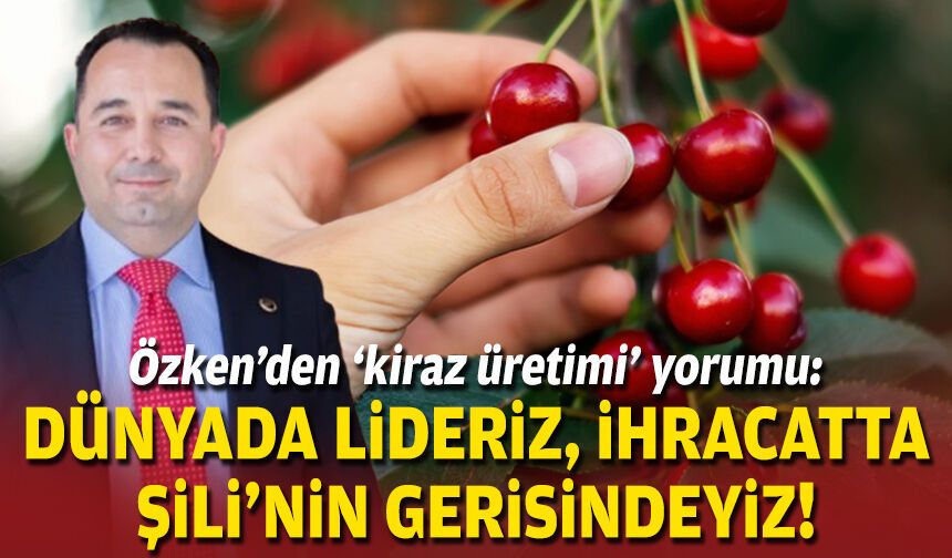 Özken’den ‘kiraz üretimi’ yorumu: Dünyada lideriz, ihracatta Şili'nin gerisindeyiz!