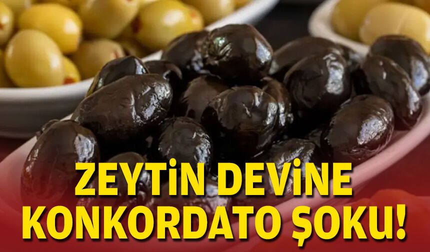 Zeytin devine konkordato şoku