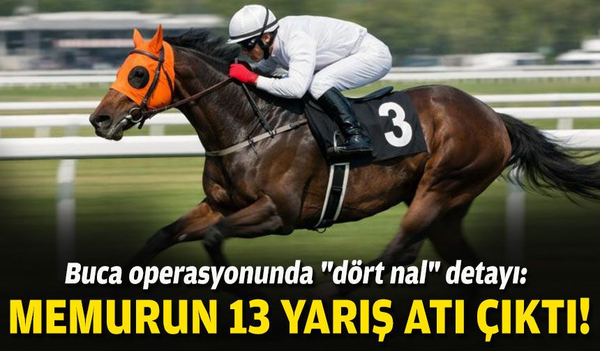 Buca operasyonunda "dört nal" detayı: Memurun 13 yarış atı çıktı!