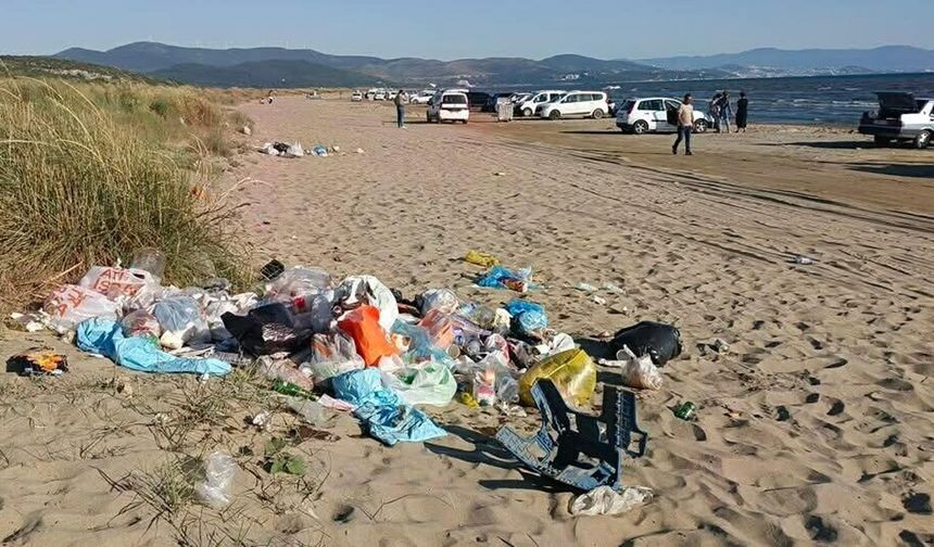 Pamucak Sahili alarm veriyor: Kumullar ve caretta carettalar risk altında!
