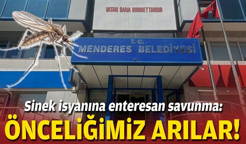 Sinek isyanına enteresan savunma: Önceliğimiz arılar!