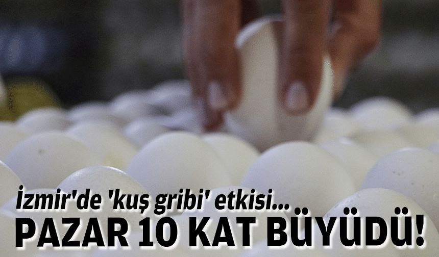 İzmir'de 'kuş gribi' etkisi... Pazar 10 kat büyüdü!