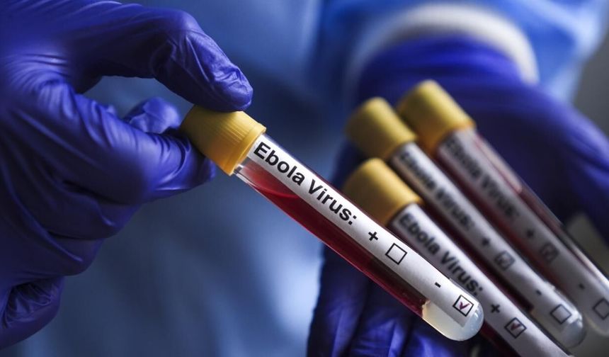 İsrail'de Ebola alarmı: İlk şüpheli vaka karantinaya alındı