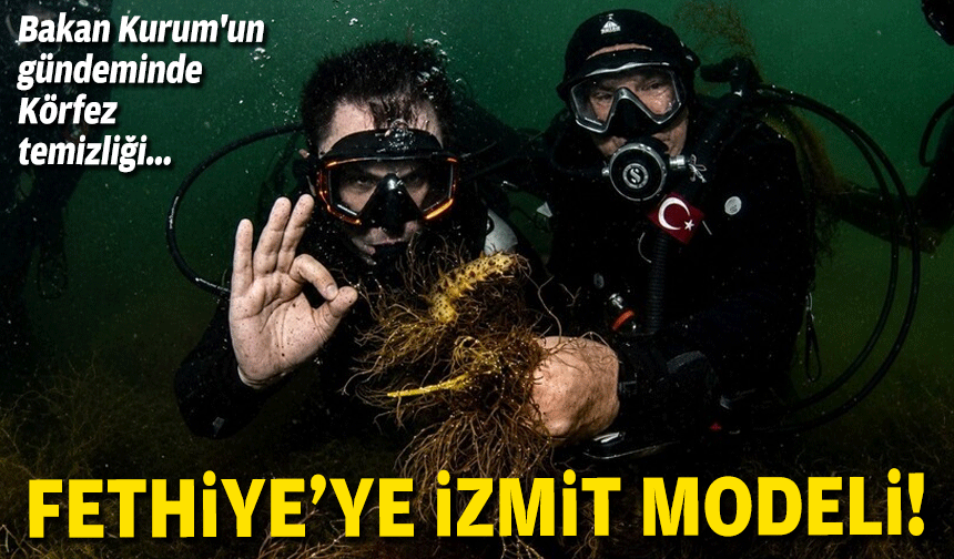 Bakan Kurum'un gündeminde Körfez temizliği... Fethiye'ye İzmit modeli!