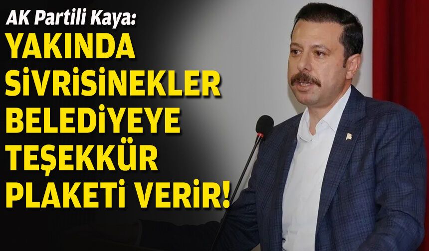 AK Partili Kaya: Yakında sivrisinekler belediyeye teşekkür plaketi verir!