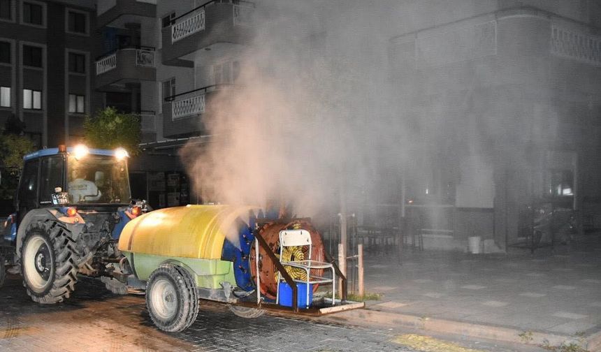 Manisa'da haşereye karşı 17 ilçede seferberlik