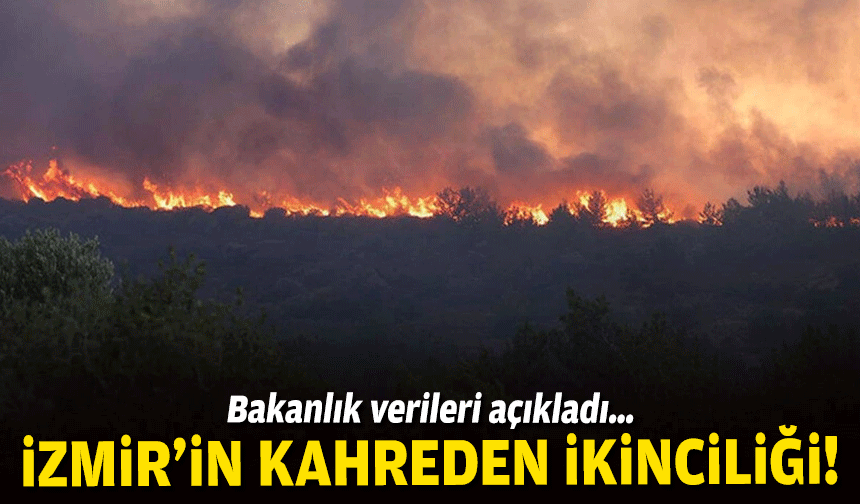 Bakanlık verileri açıkladı… İzmir’in kahreden ikinciliği!