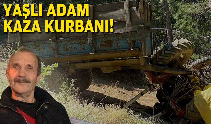 Orman yolunda ölümle biten kaza... Yaşlı adamın acı sonu!