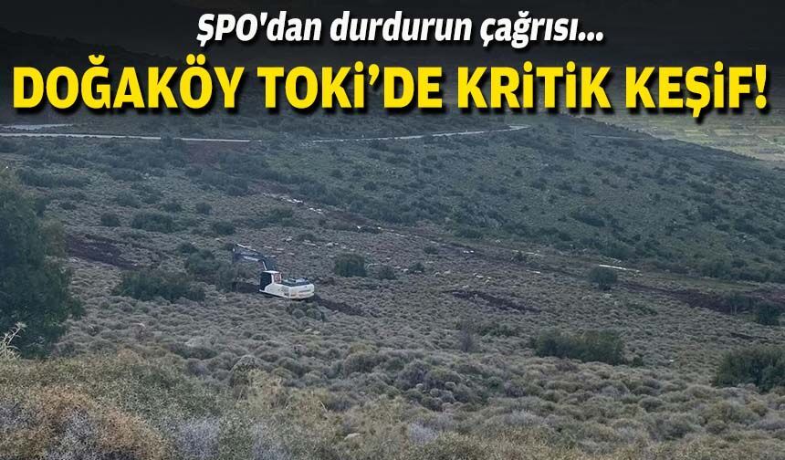 Doğaköy TOKİ'de kritik keşif... ŞPO'dan durdurun çağrısı