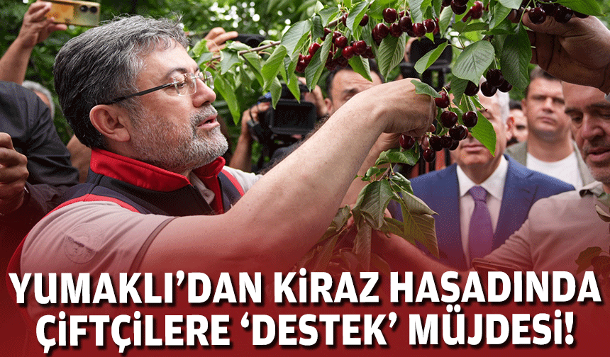 Yumaklı kiraz hasadında konuştu: Tarımsal destekler güncellenecek!