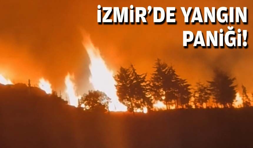 İzmir'de yangın paniği!
