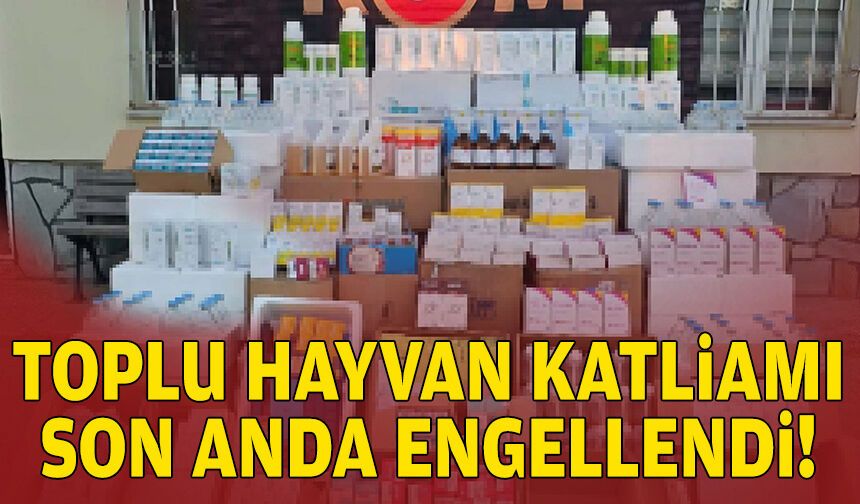 Toplu hayvan katliamı son anda engellendi!