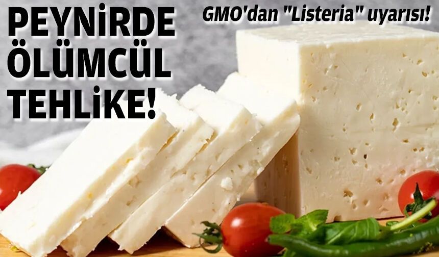 GMO'dan "Listeria" uyarısı: Peynirde ölümcül tehlike!