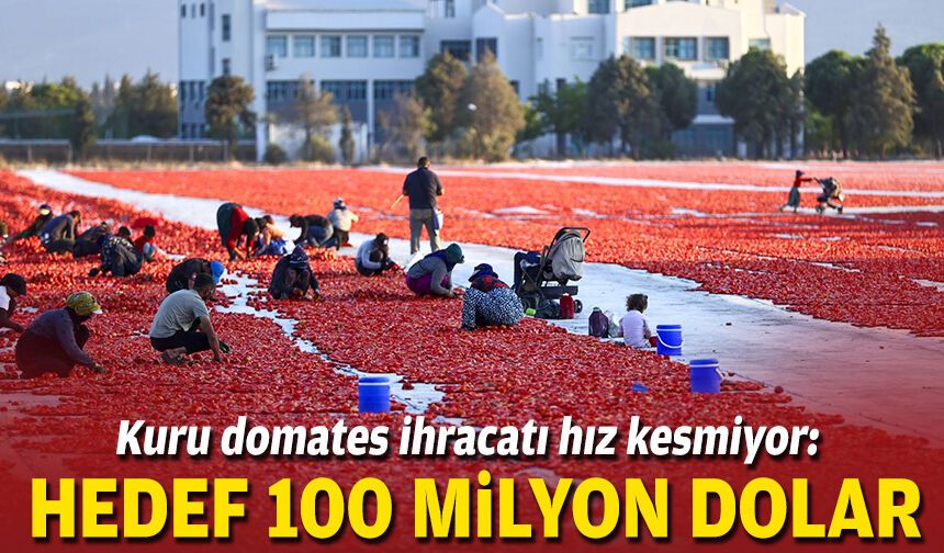 Kuru domates ihracatı hız kesmiyor: Hedef 100 milyon dolar