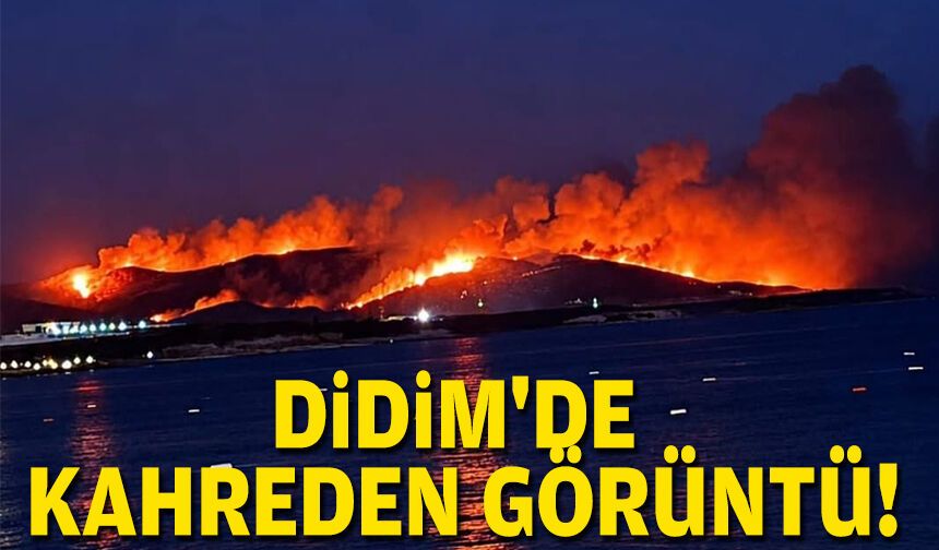 Didim'de kahreden görüntü!