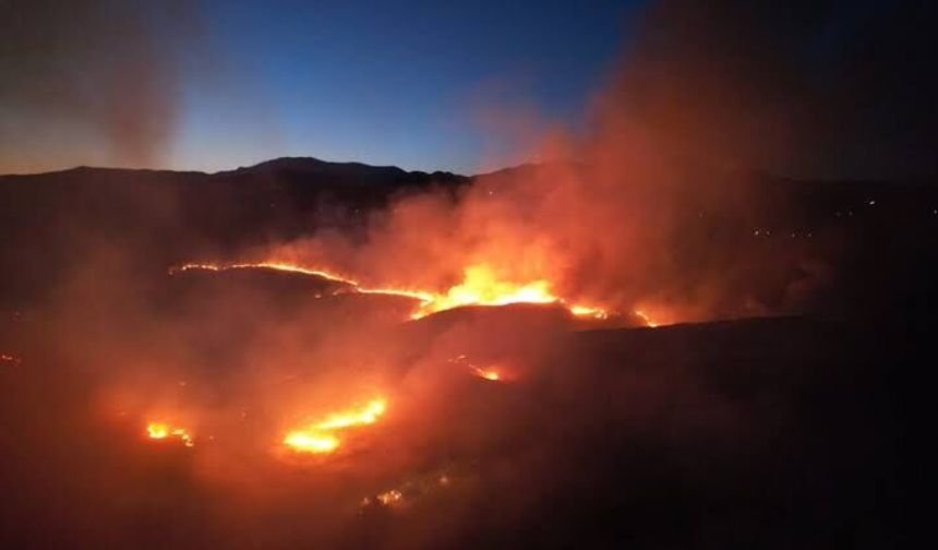 Adıyaman'da otluk alanda çıkan yangın ormana sıçradı