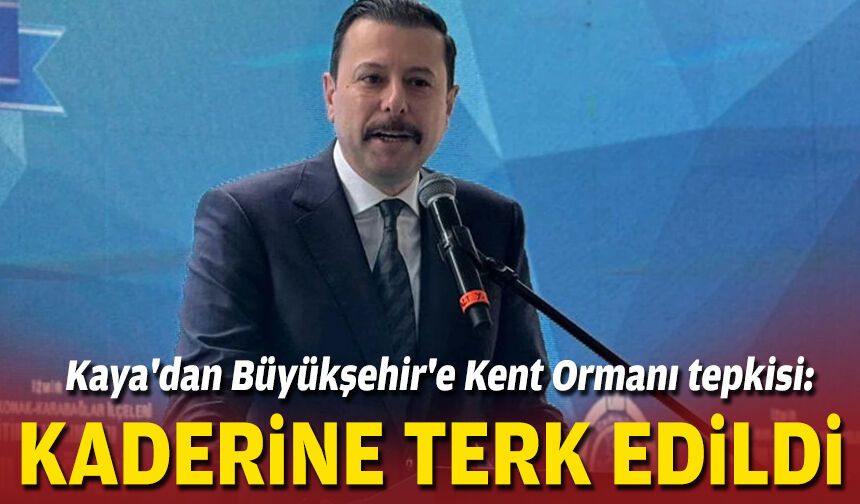 Kaya'dan Büyükşehir'e Kent Ormanı tepkisi: Kaderine terk edildi