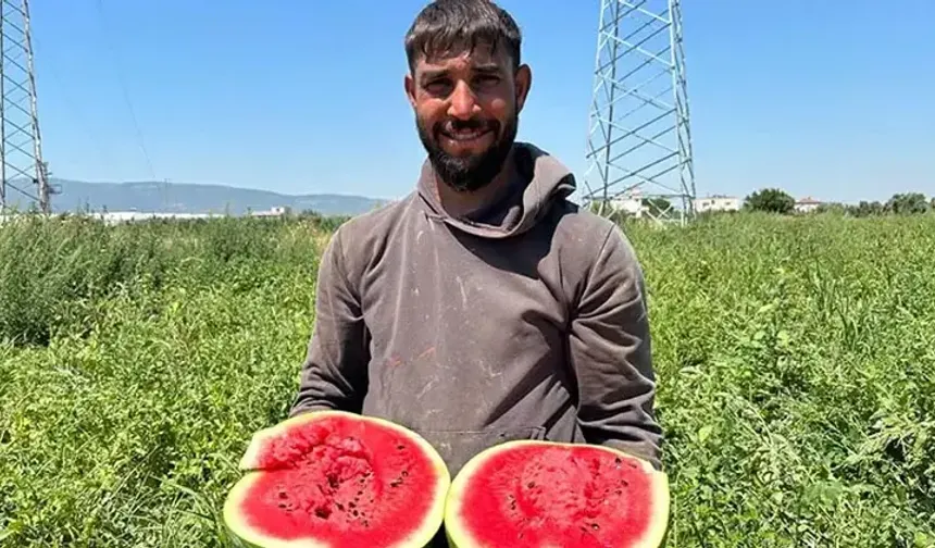 Torbalı'da karpuz yüzleri güldürdü!