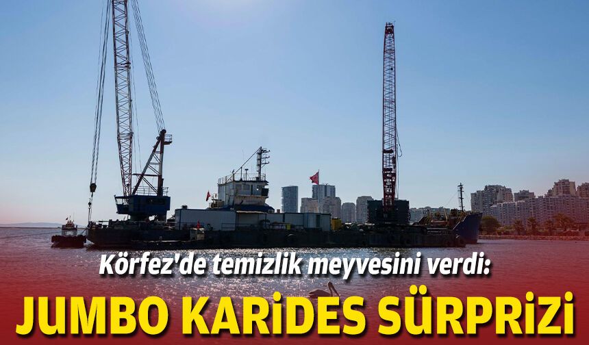 Körfez'de temizlik meyvesini verdi: Jumbo karides sürprizi