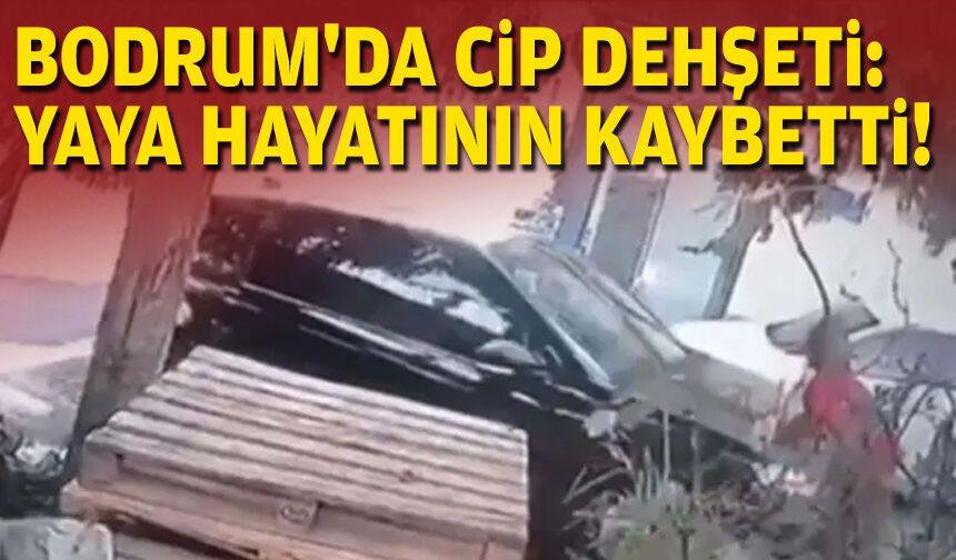 Bodrum'da cip dehşeti: Yaya hayatını kaybetti!