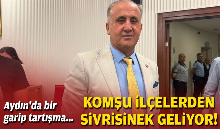 Aydın'da bir garip tartışma... Komşu ilçelerden sivrisinek geliyor!