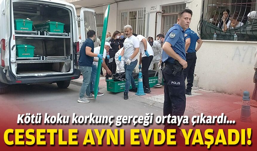 Kötü koku korkunç gerçeği ortaya çıkardı... Cesetle aynı evde yaşadı!