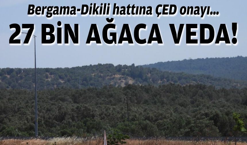 Bergama-Dikili hattına ÇED onayı… 27 bin ağaca veda!