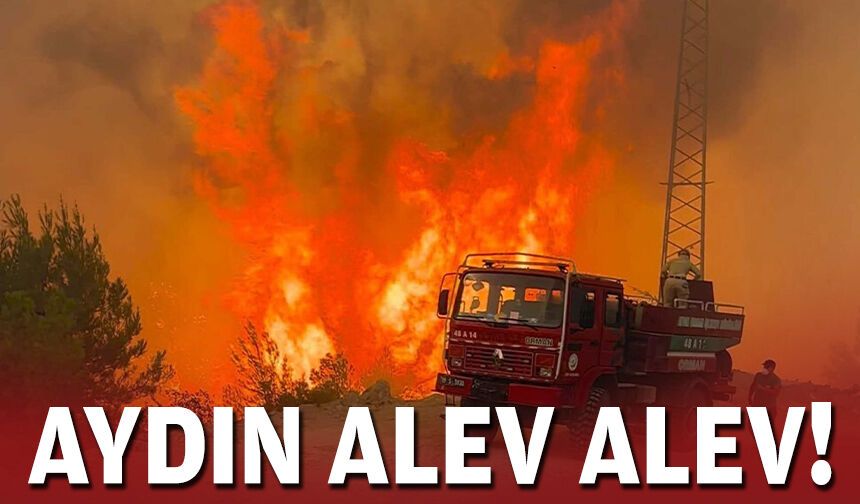 Aydın alev alev!