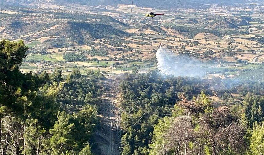 Manisa'da çıkan orman yangını kontrol altına alındı