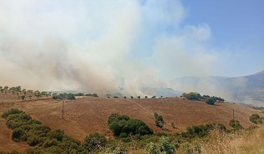 İzmir'de arazide çıkan yangın kontrol altına alındı