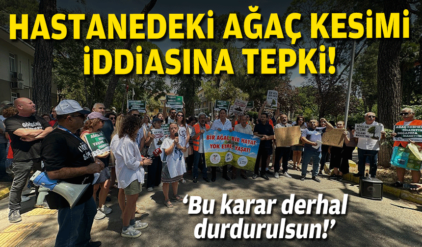 Hastanedeki ağaç kesimi iddiasına tepki: Bu karar derhal durdurulsun!