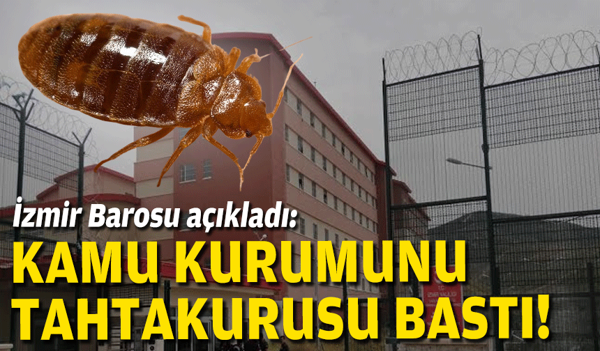 İzmir Barosu açıkladı... Kamu kurumunu tahtakurusu bastı!