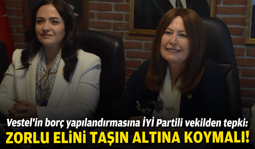 Vestel'in borç yapılandırmasına İYİ Partili vekilden tepki: Zorlu elini taşın altına koysun!